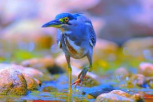 Foxmail电脑桌面邮件收发软件