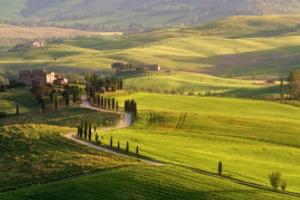 Thunderbird — 解放收件箱